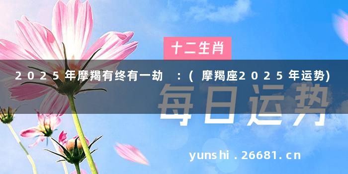 2025年摩羯有终有一劫 :(摩羯座2025年运势)